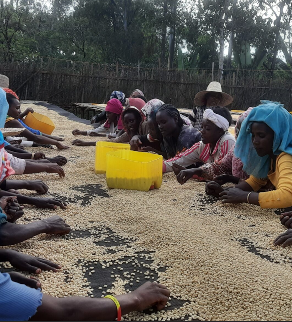 Anaerobic Coffee