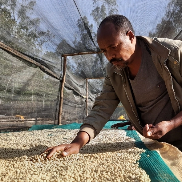 Coffee Operations